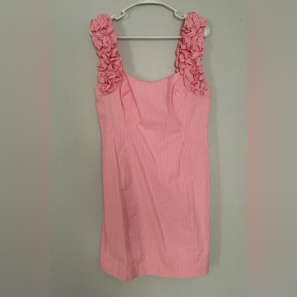 Lilly Pulitzer Devina Dress Pink Cosmo Yard Dyed Stripe Seersuck Size 10 - Picture 3 of 5